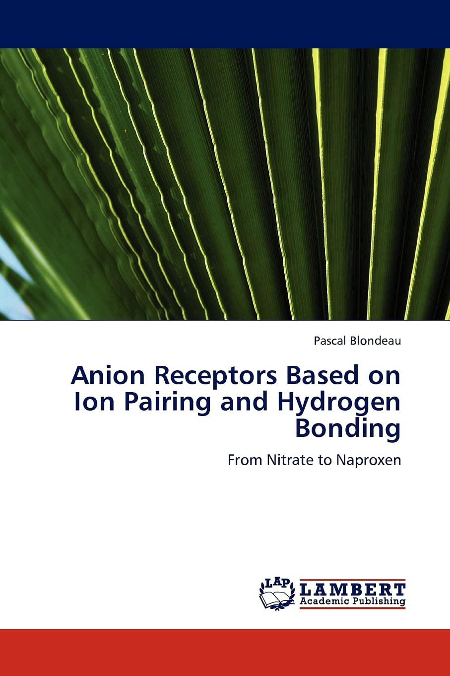 Anion Receptors Based on Ion Pairing and Hydrogen Bonding: From Nitrate to Naproxen,Used