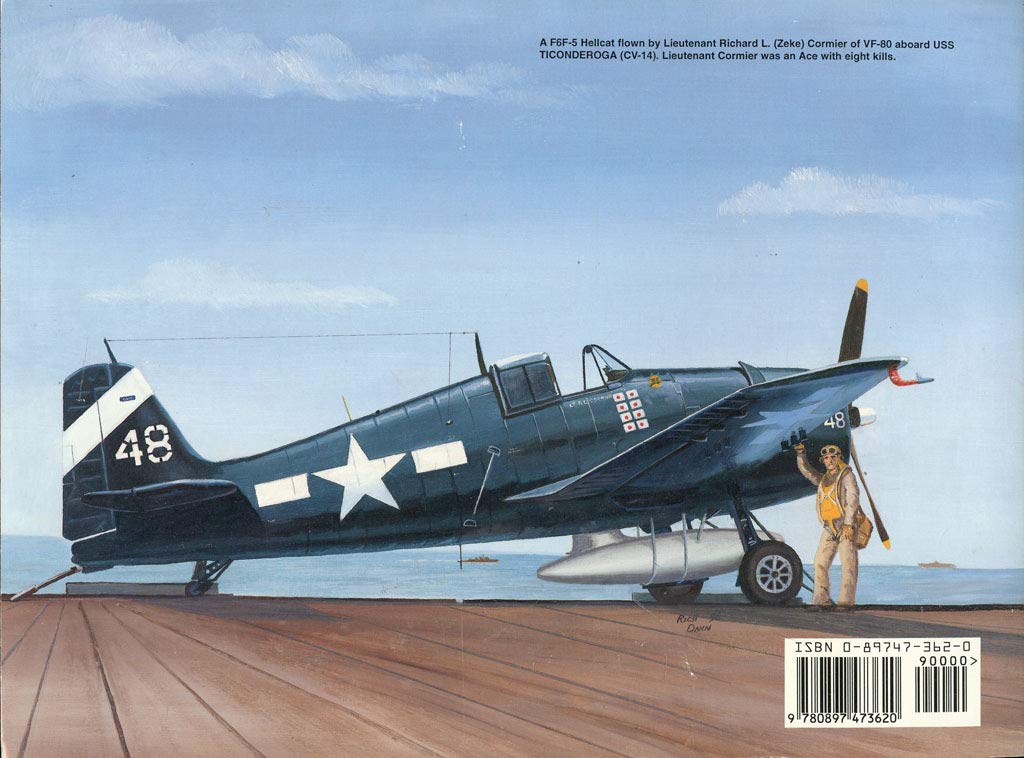 F6F Hellcat  Walk Around No. 9