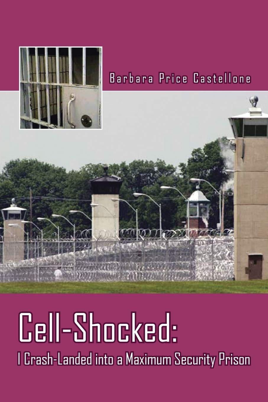 Cellshocked: I Crashlanded Into A Maximum Security Prison,Used