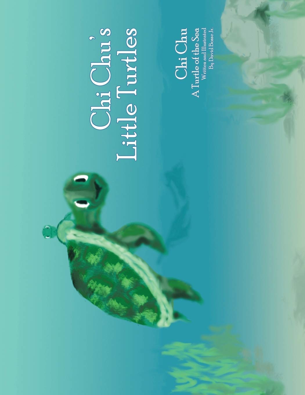 Chi Chu's Little Turtles: Chi Chu a Turtle of the Sea,Used