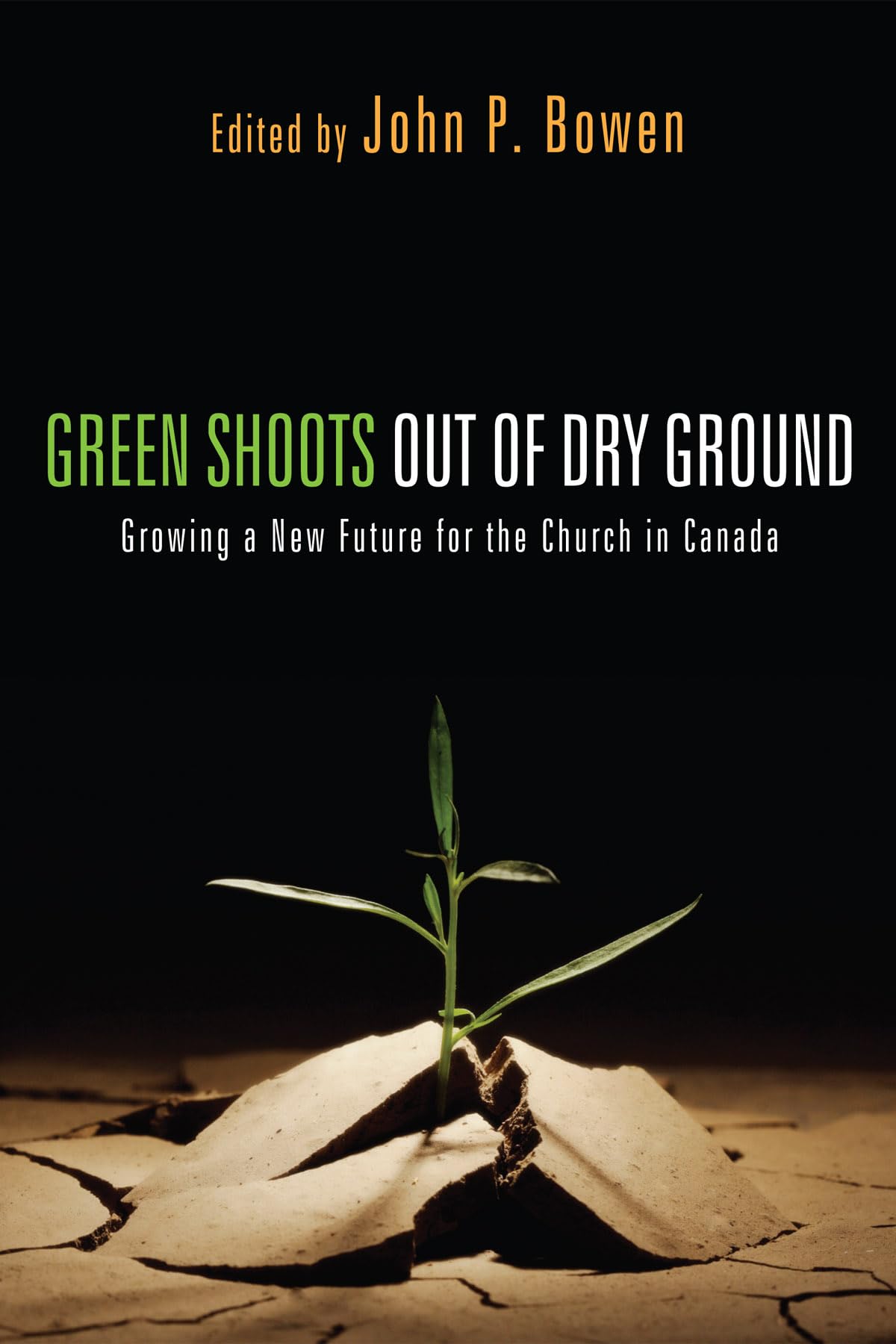 Green Shoots Out Of Dry Ground,Used