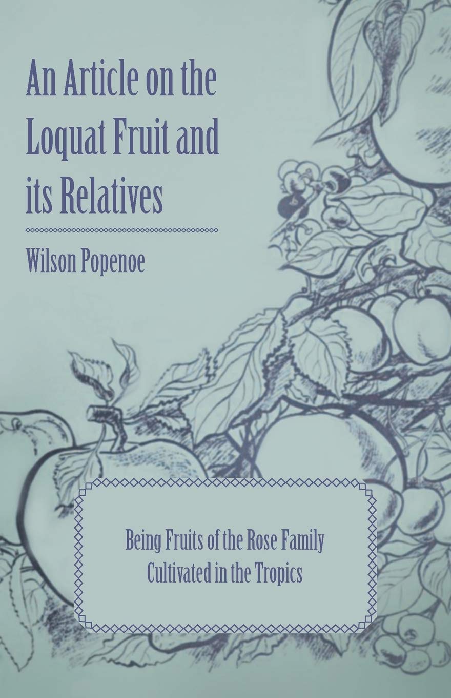 An Article On The Loquat Fruit And Its Relatives  Being Fruits Of The Rose Family Cultivated In The Tropics,Used