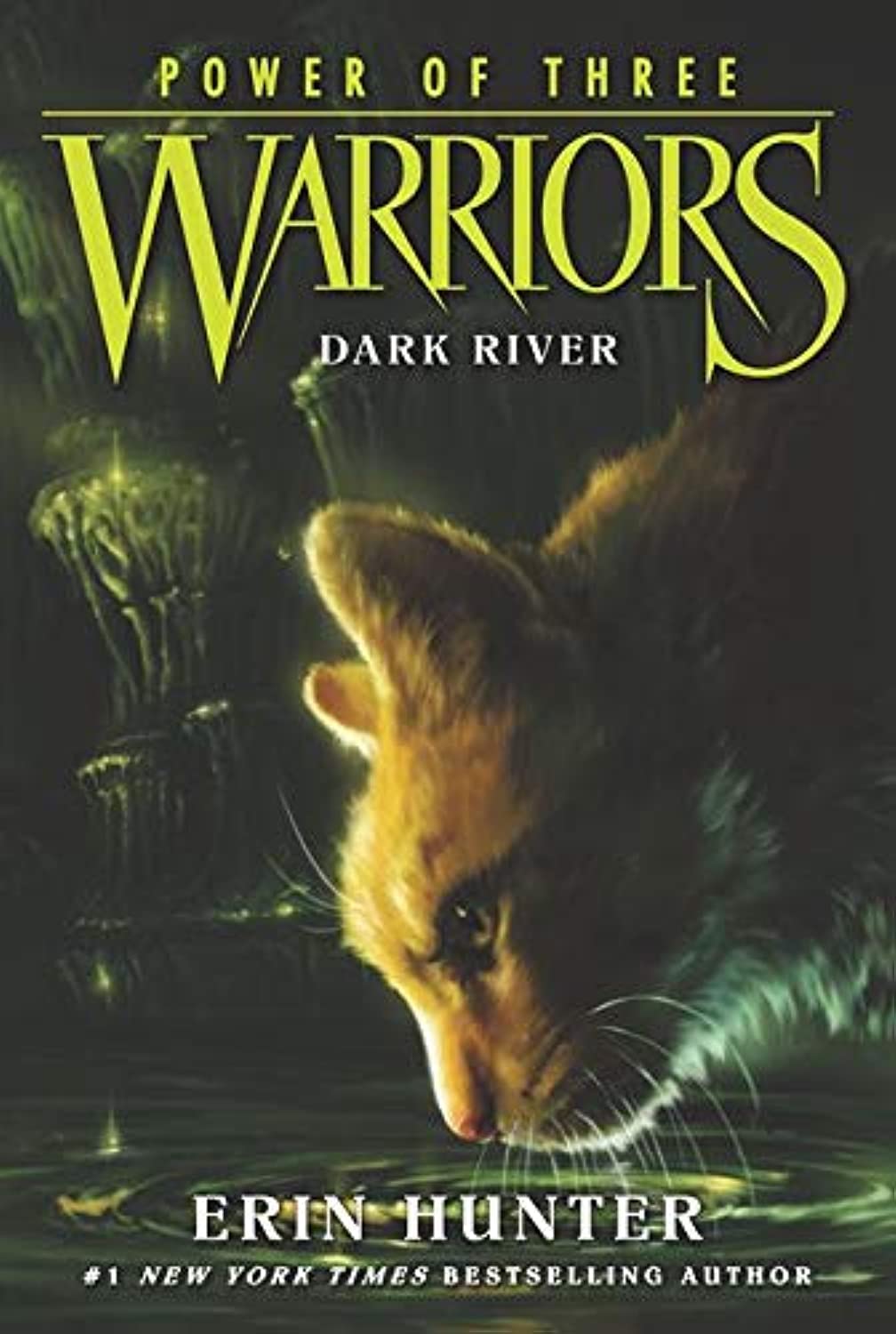 Warriors: Power of Three #2: Dark River,Used