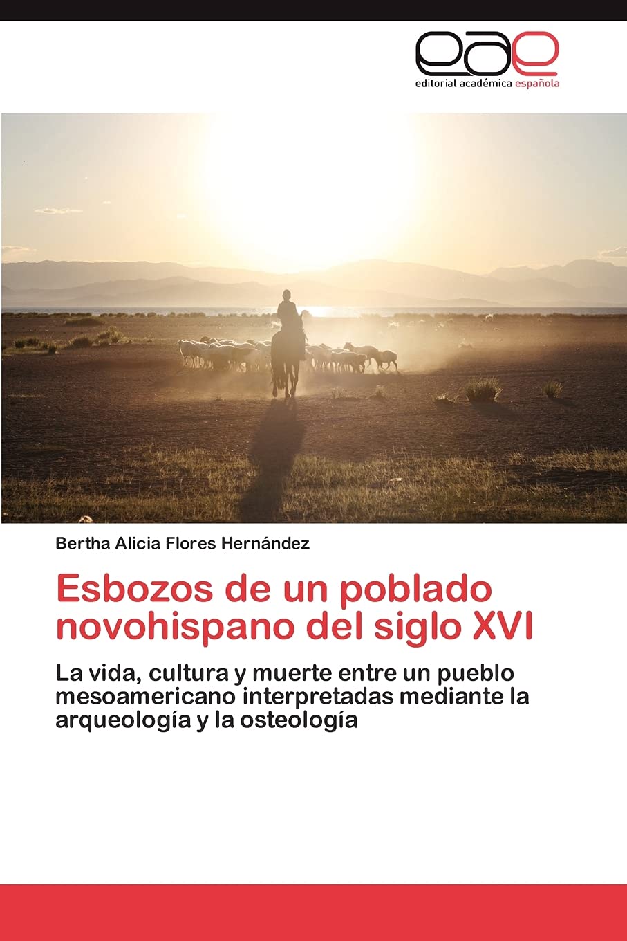 Esbozos de un poblado novohispano del siglo XVI: La vida, cultura y muerte entre un pueblo mesoamericano interpretadas mediante ,Used