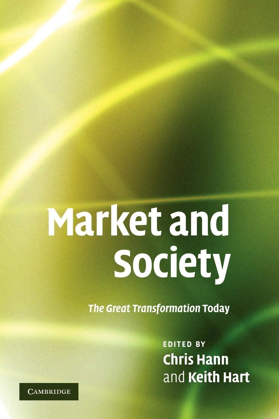 Market and Society: The Great Transformation Today,Used