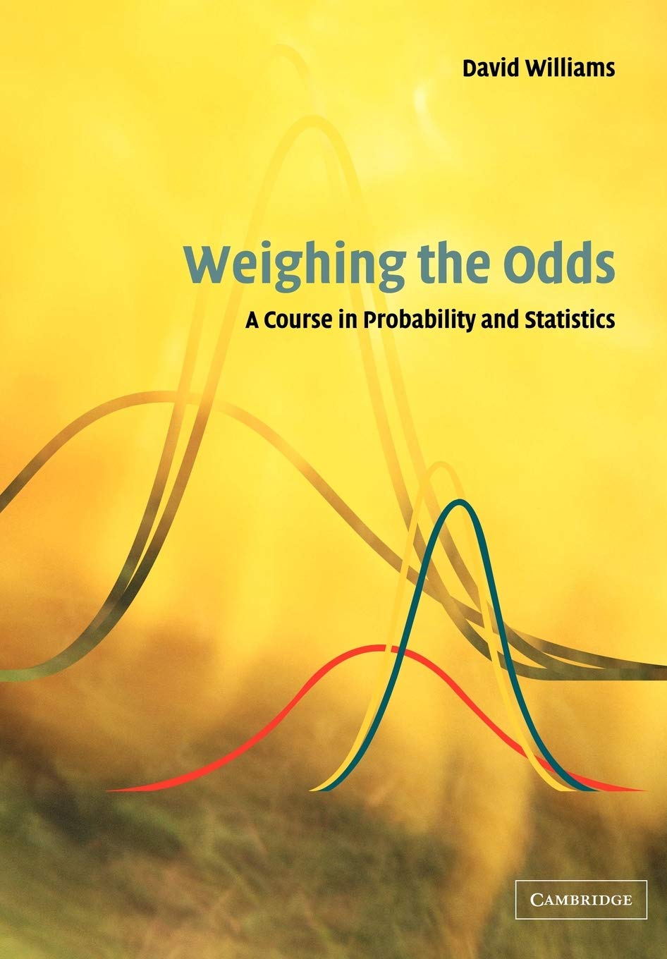 Weighing the Odds: A Course in Probability and Statistics,Used