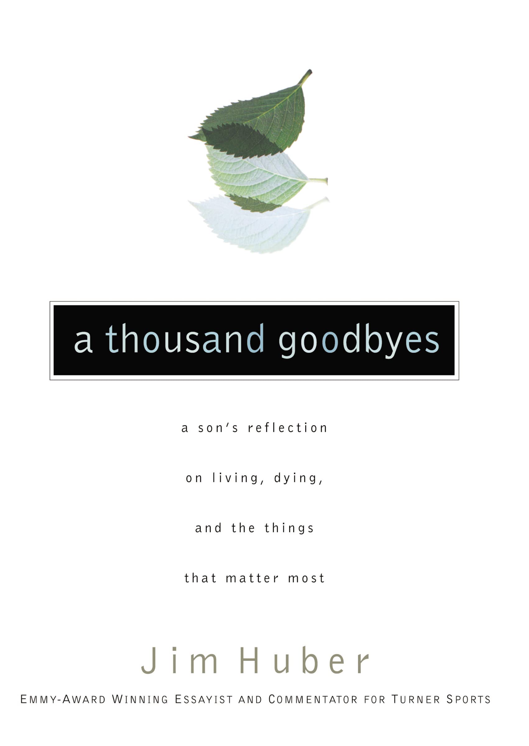 A Thousand Goodbyes: A Son's Reflection on Living, Dying, and the Things that Matter Most,Used