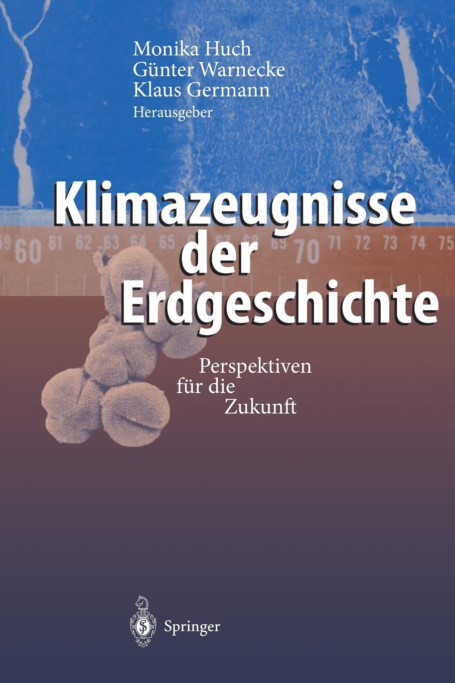 Klimazeugnisse Der Erdgeschichte: Perspektiven Fr Die Zukunft (German Edition),Used
