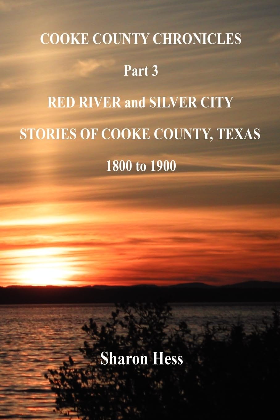 Cooke County Chronicles  Part 3  Red River and Silver City,Used