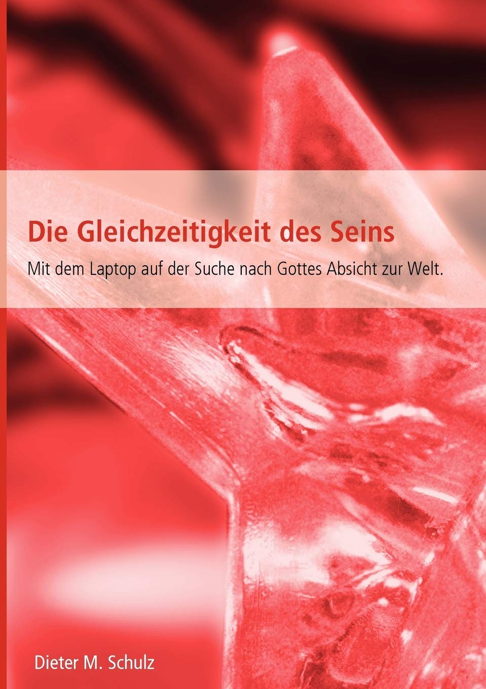 Die Gleichzeitigkeit des Seins: Mit dem Laptop auf der Suche nach Gottes Absicht zur Welt (German Edition),Used