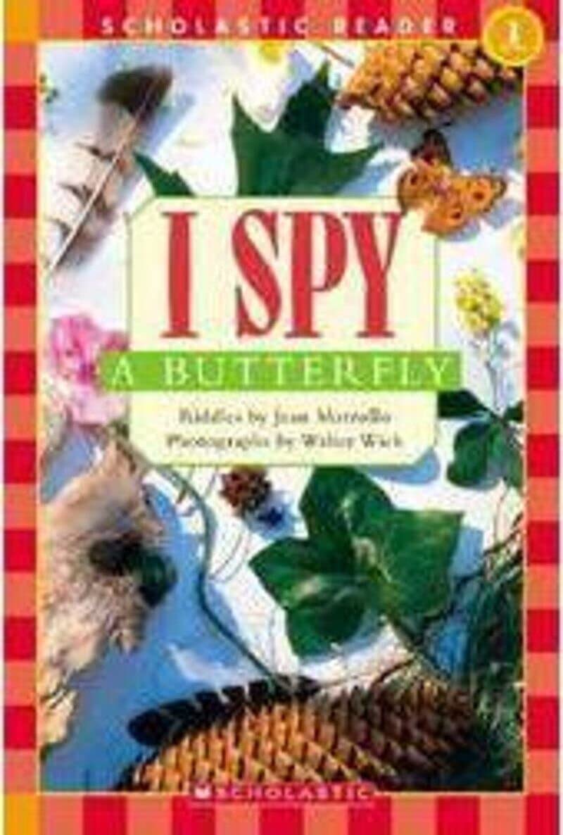 I Spy a Butterfly,New