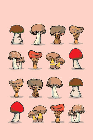Mushrooms: Graph Paper Notebook, 6x9 Inch, 120 pages,Used