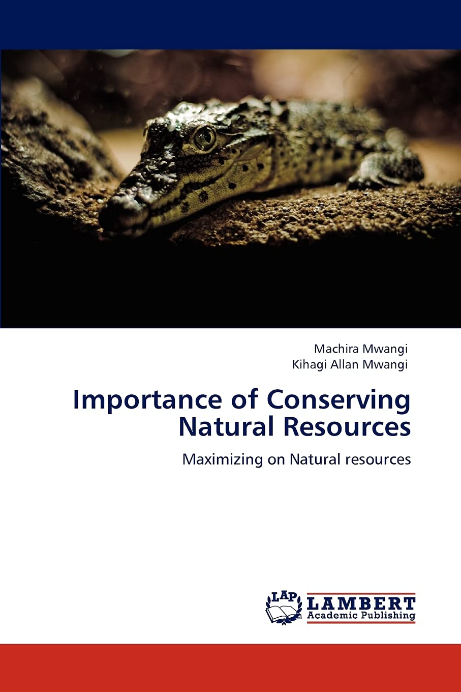 Importance of Conserving Natural Resources: Maximizing on Natural resources,Used