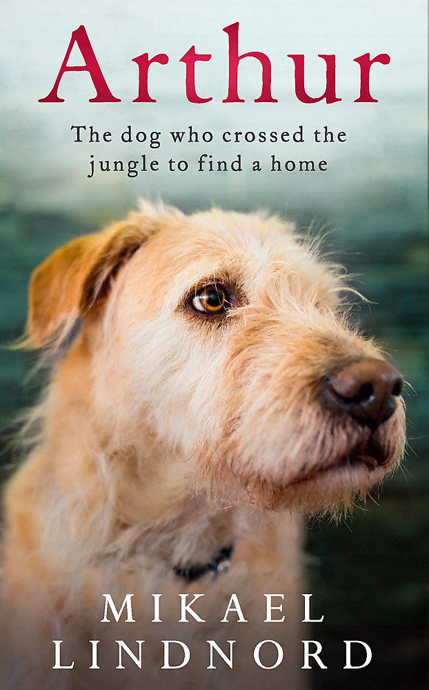 Arthur: The dog who crossed the jungle to find a home,Used
