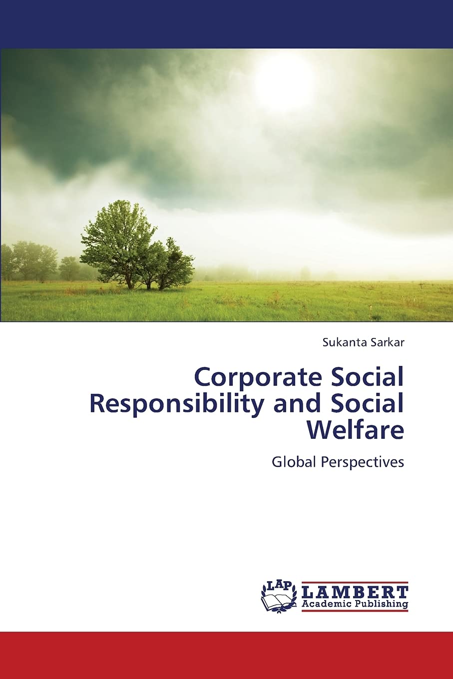 Corporate Social Responsibility and Social Welfare: Global Perspectives,Used