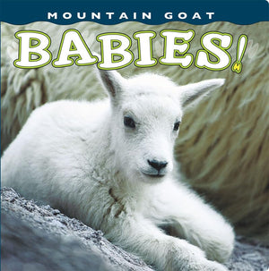 Mountain Goat Babies! (Babies! (Farcountry Press)),Used