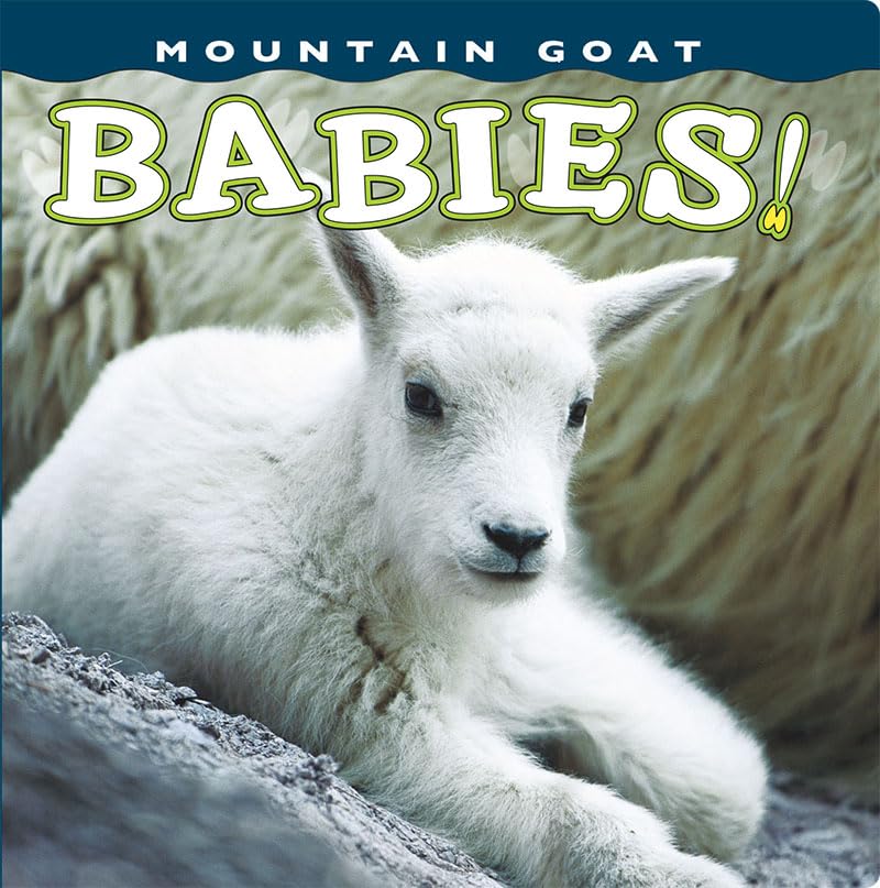 Mountain Goat Babies! (Babies! (Farcountry Press)),Used