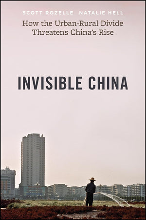 Invisible China: How The Urbanrural Divide Threatens Chinas Rise,Used