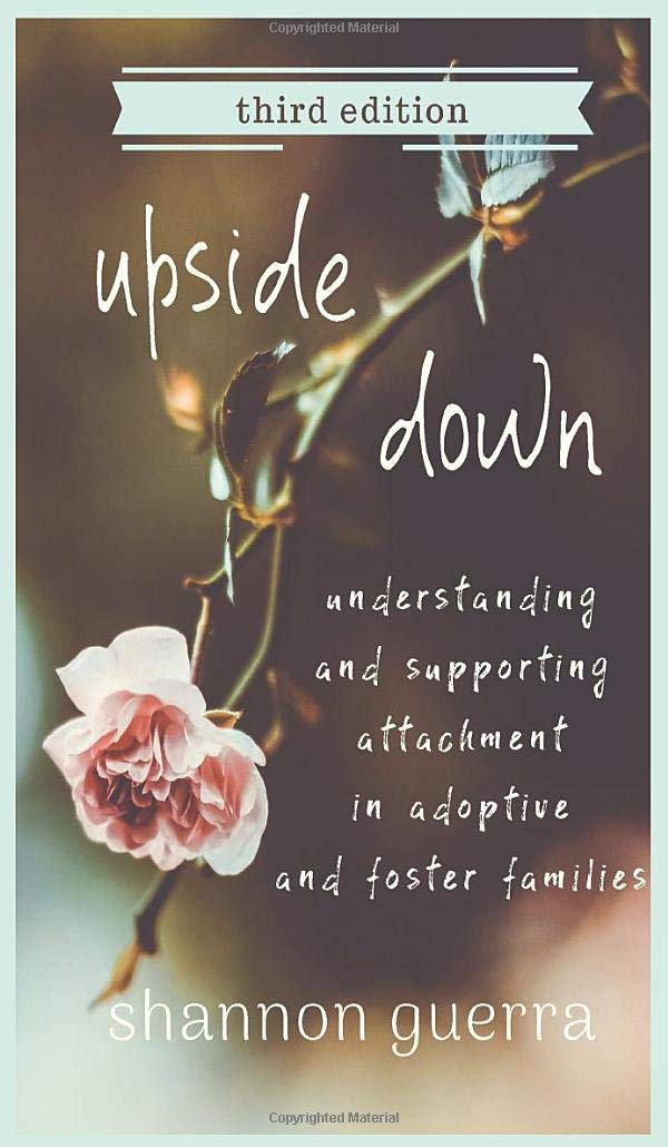 Upside Down: Understanding and Supporting Attachment in Adoptive and Foster Families,Used