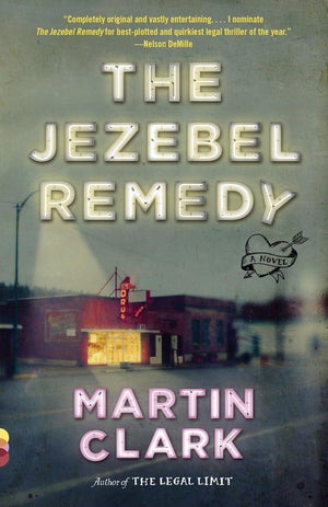 The Jezebel Remedy (Vintage Contemporaries),Used