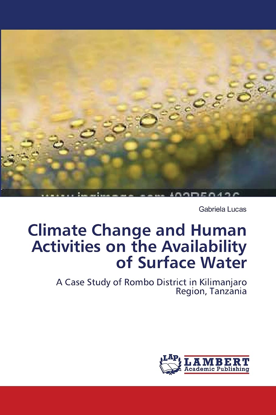 Climate Change and Human Activities on the Availability of Surface Water: A Case Study of Rombo District in Kilimanjaro Region, ,Used