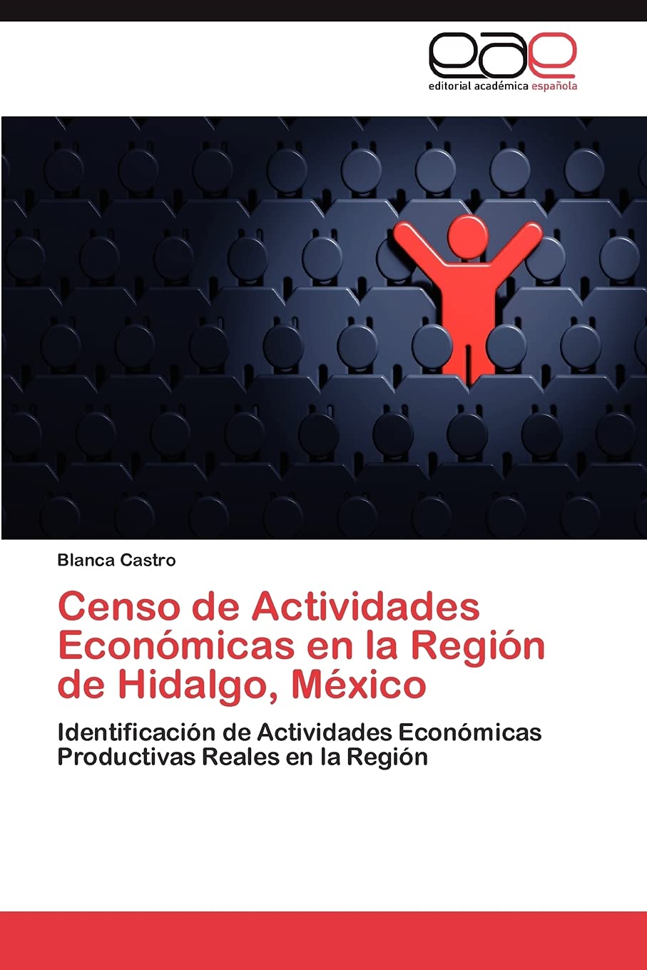 Censo de Actividades Econmicas en la Regin de Hidalgo, Mxico: Identificacin de Actividades Econmicas Productivas Reale,Used