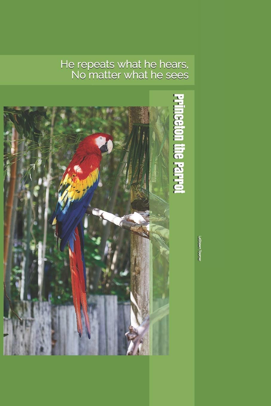 Princeton the Parrot: He repeats what he hears, no matter what he sees,Used