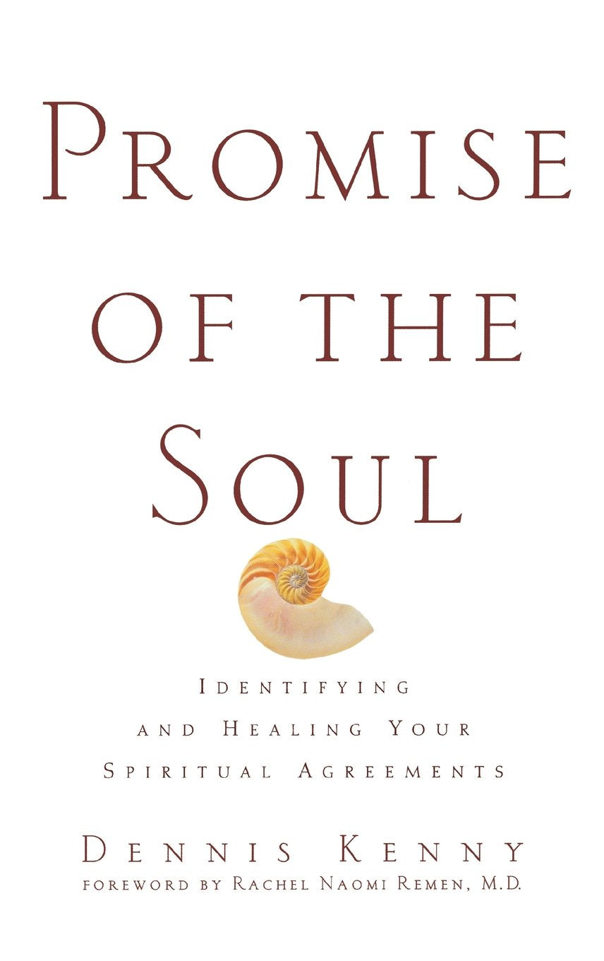 Promise of the Soul: Identifying and Healing Your Spiritual Agreements,Used