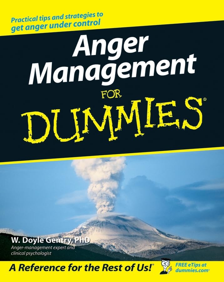 Anger Management for Dummies,Used
