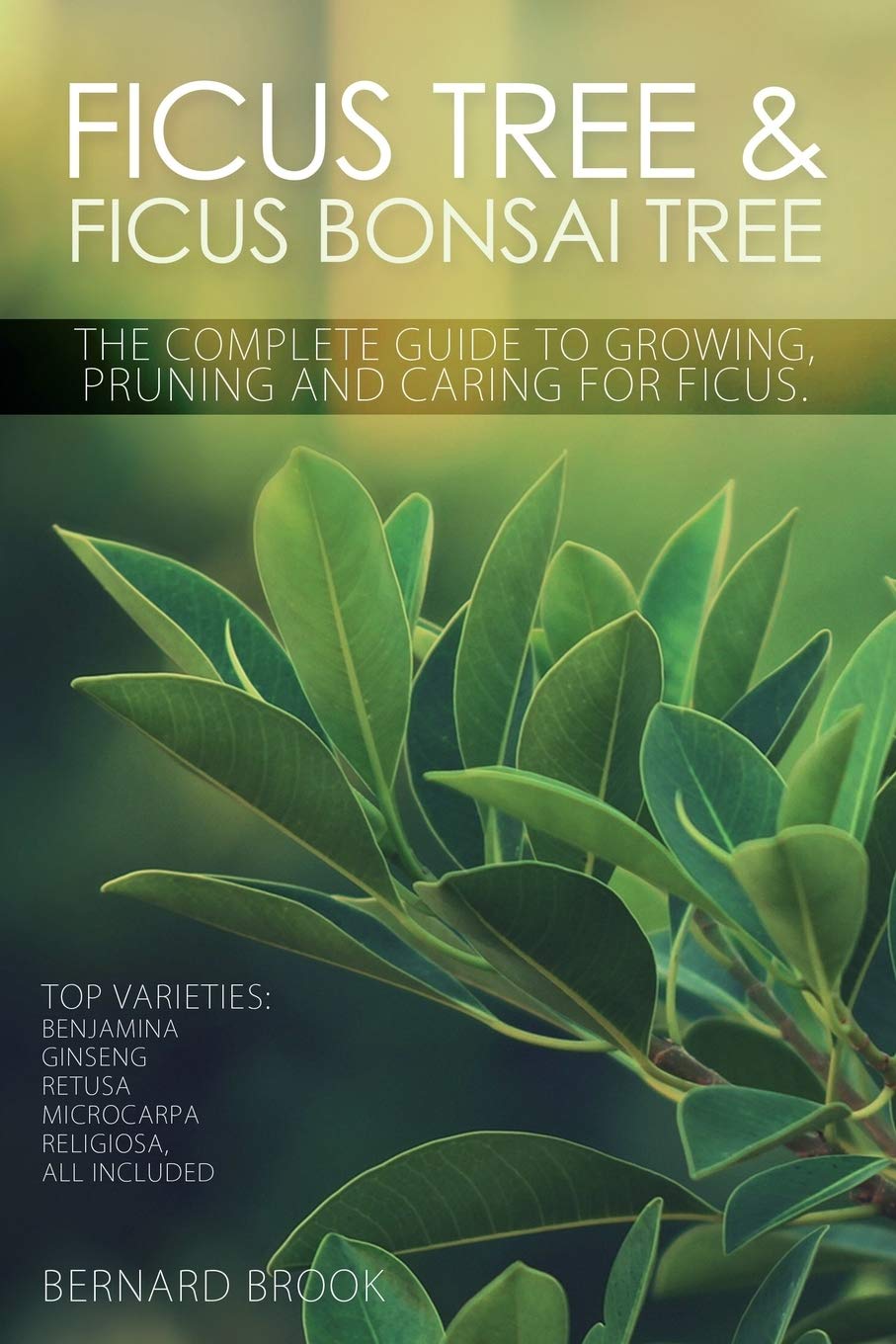 Ficus Tree and Ficus Bonsai Tree. The Complete Guide to Growing, Pruning and Caring for Ficus. Top Varieties: Benjamina, Ginseng,Used