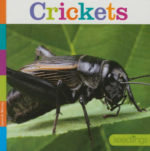 Crickets (Seedlings),Used
