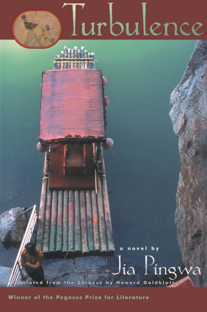 Turbulence: A Novel (Pegasus Prize for Literature),Used