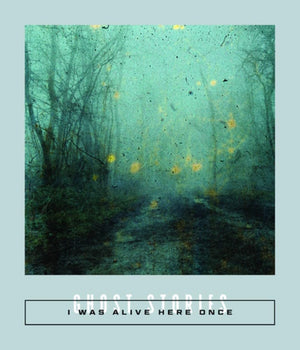 I Was Alive Here Once: Ghost Stories (Calico Series, 13)