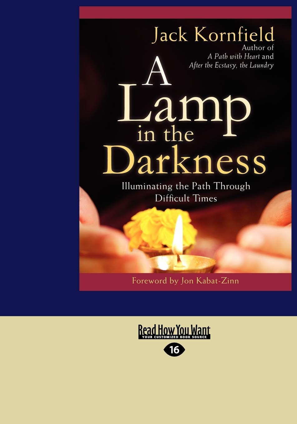A Lamp In The Darkness: Illuminating The Path Through Difficult Times,Used