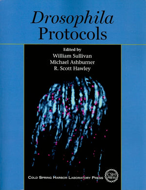 Drosophila Protocols,New