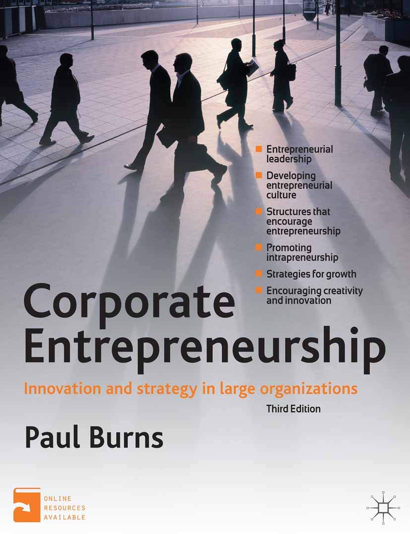 Corporate Entrepreneurship: Innovation and Strategy in Large Organizations,Used