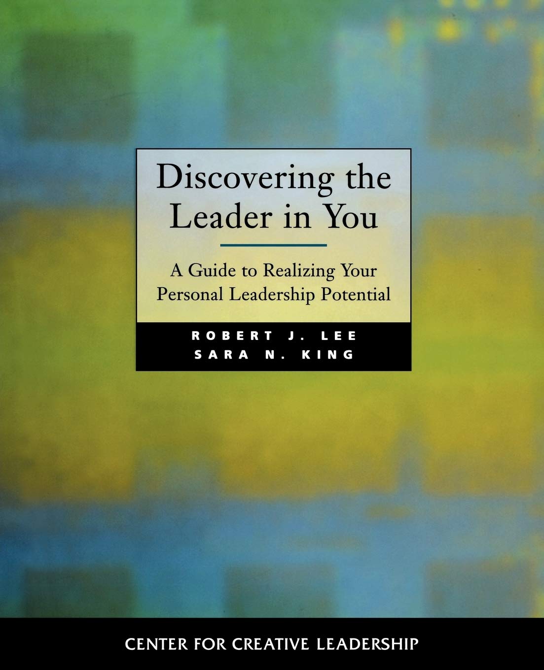 Discovering the Leader in You: A Guide to Realizing Your Personal Leadership Potential,Used