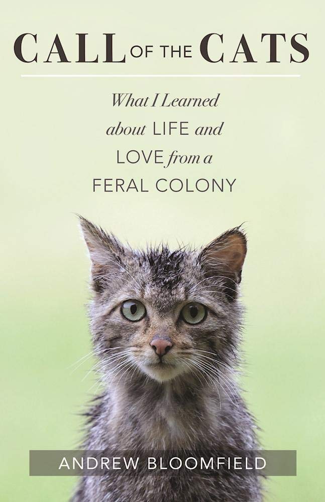 Call Of The Cats: What I Learned About Life And Love From A Feral Colony,Used