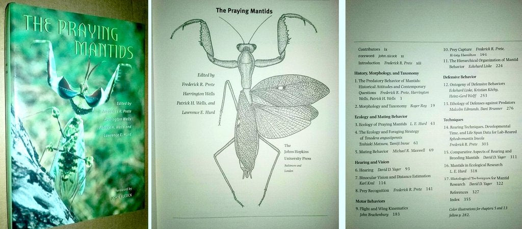 The Praying Mantids