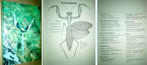 The Praying Mantids