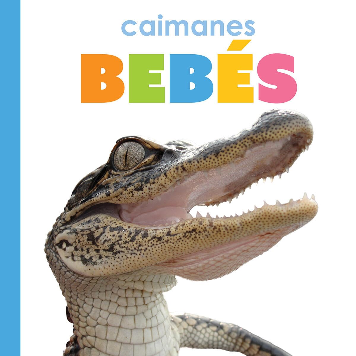 Caimanes Bebs (Spanish Edition)