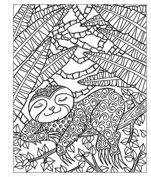 Zendoodle Coloring: Sleepy Sloths: Calm Creatures to Color and Display,Used
