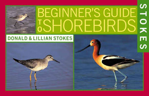 Stokes Beginner's Guide to Shorebirds,Used