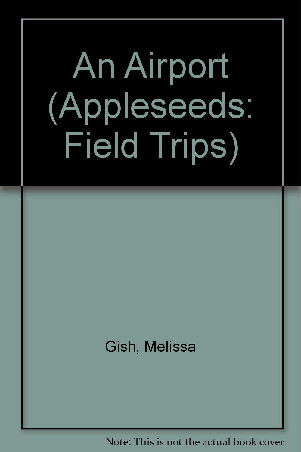 An Airport (Field Trips),Used