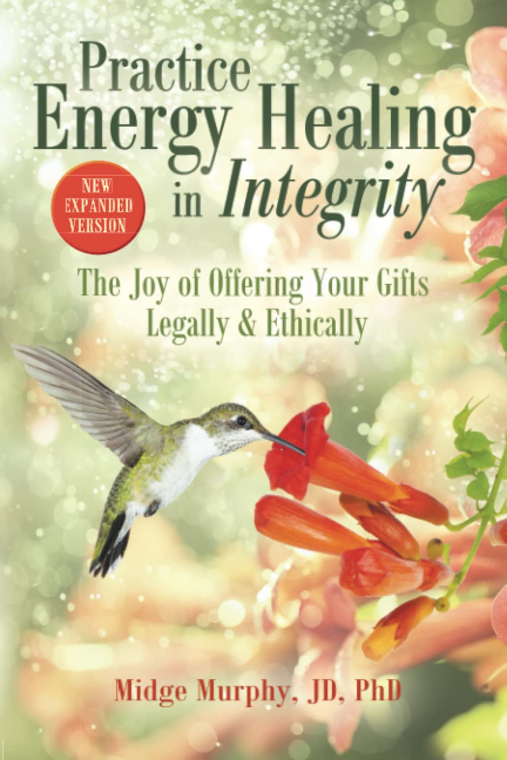 Practice Energy Healing in Integrity: The Joy of Offering Your Gifts Legally & Ethically,Used