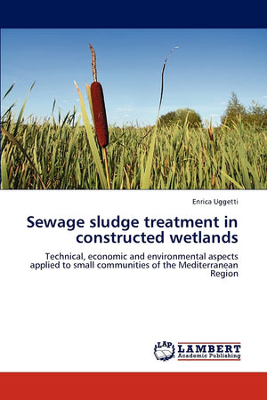 Sewage sludge treatment in constructed wetlands: Technical, economic and environmental aspects applied to small communities of t,Used