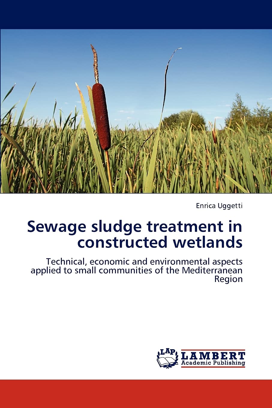 Sewage sludge treatment in constructed wetlands: Technical, economic and environmental aspects applied to small communities of t,Used