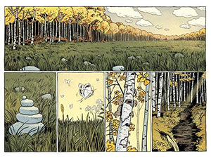 Over the Garden Wall: Benevolent Sisters of Charity OGN,Used
