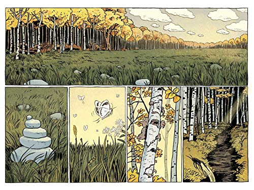 Over the Garden Wall: Benevolent Sisters of Charity OGN,Used