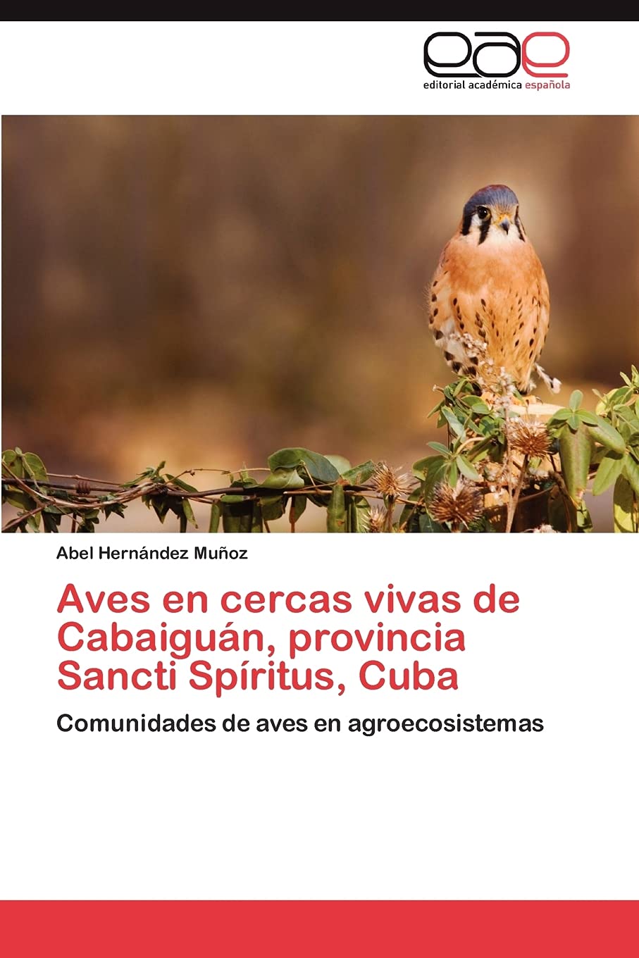 Aves en cercas vivas de Cabaigun, provincia Sancti Spritus, Cuba: Comunidades de aves en agroecosistemas (Spanish Edition),Used